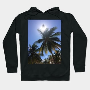 Palm Trees and sunny days Hoodie